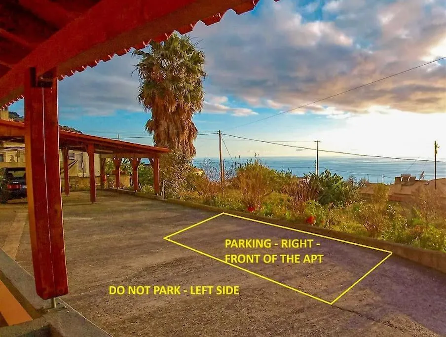 The Funny And Relax Apartment With Terrace & View Arco da Calheta  Portugal